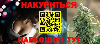 мдпв Кингисепп
