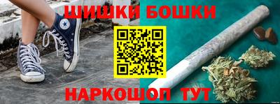 мдпв Кингисепп