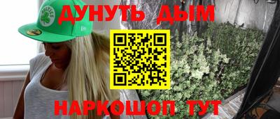 мдпв Кингисепп