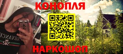 мдпв Кингисепп