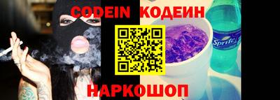 мдпв Кингисепп