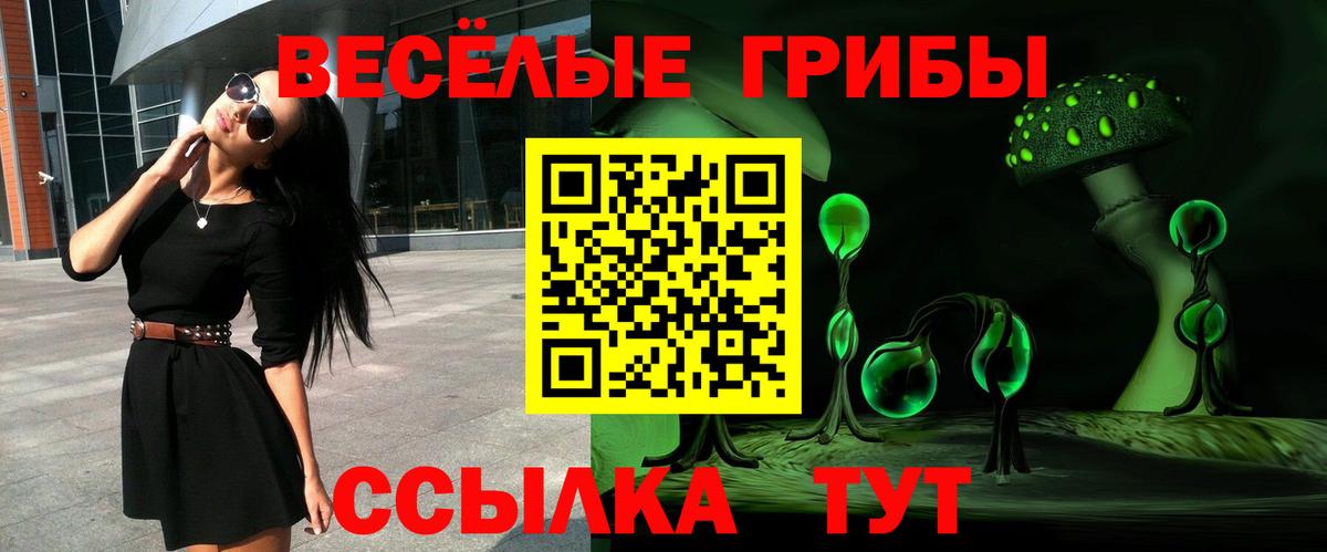 Галлюциногенные грибы Cubensis Лянтор